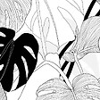 99DECO - Papier peint panoramique - Bornéo - Noir - intissé : 150g/m² - 7 lés : 336x270cm - vignette