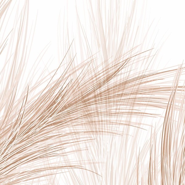 99DECO - Papier peint panoramique - Pampa - Marron - intissé : 150g/m² - 5 lés : 240x270cm - large