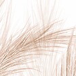 99DECO - Papier peint panoramique - Pampa - Marron - intissé : 150g/m² - 5 lés : 240x270cm - vignette