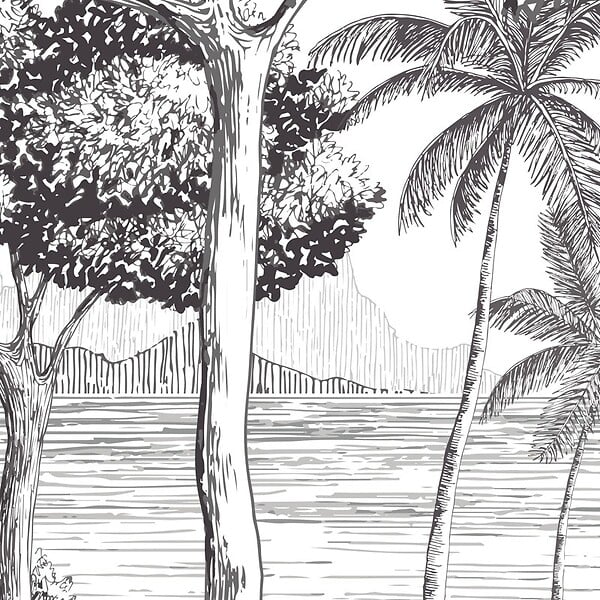 99DECO - Papier peint panoramique - La Plage - Noir - intissé : 150g/m² - 9 lés : 432x270cm - large