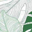 99DECO - Papier peint panoramique - Bornéo - Multicolore - intissé : 150g/m² - 7 lés : 336x270cm - vignette