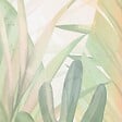 99DECO - Papier Peint Panoramique Floral Vert - 99DECO - L336xH270cm - vignette