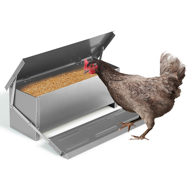 ID MARKET - Mangeoire XXL pour poules distributeur automatique à pédale en acier 10 KG - large