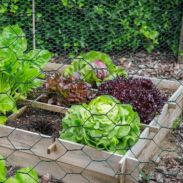 ID MARKET - Grillage pour poules vert 1x25M maille 25mm triple torsion clôture souple jardin animaux - large