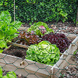 ID MARKET - Grillage pour poules vert 1x25M maille 25mm triple torsion clôture souple jardin animaux - vignette