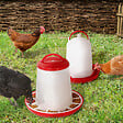 ID MARKET - Lot mangeoire 3 KG et abreuvoir 3L pour poules et volailles - vignette