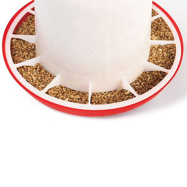 ID MARKET - Lot mangeoire 3 KG et abreuvoir 3L pour poules et volailles - large