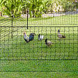 ID MARKET - Kit clôture filet à poules 50 M avec porte 15 piquets double pointe - vignette