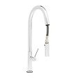 SWISS AQUA TECHNOLOGIES - Swiss Aqua Technologies set mitigeur lavabo avec bras pivotant + mitigeur cuisine douchette extractible 2 jets, bras pivotant, chrome (SATBSD2280LCR) - vignette