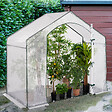 ID MARKET - Serre d'hivernage maison 200 x 80 x 160 cm balcon et terrasse - vignette