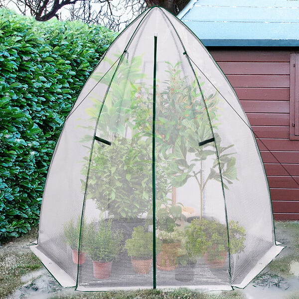 ID MARKET - Serre d'hivernage dôme maxi format 250 x 250 x 200 cm balcon et terrasse - large
