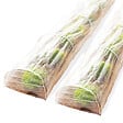 ID MARKET - Lot de 2 tunnels de forçage accordéon 4M - vignette