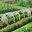 ID MARKET - Mini serre de jardin tunnel 300 x 50 x 50 cm avec bâche anti-UV et 10 fenêtres enroulables blanche - vignette