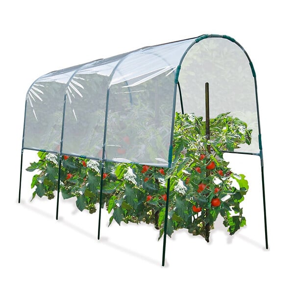 ID MARKET - Serre à tomates 4 M - large