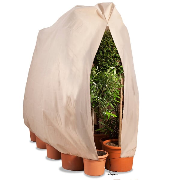 ID MARKET - Housse d'hivernage pour plante et arbuste 200 x 240 cm - large