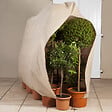 ID MARKET - Lot de 3 housses d'hivernage pour plante et arbuste 80 x 160 cm - vignette