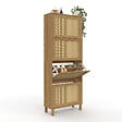 ID MARKET - Meuble à chaussures 24 paires HANAE 4 portes effet naturel cannage - vignette