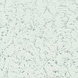 RASCH - Pep crepi argente 1 - vignette