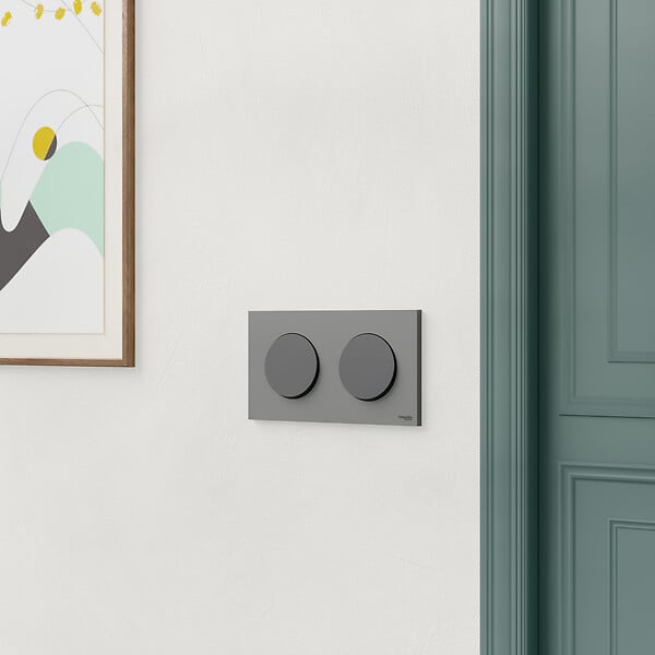 SCHNEIDER - Plaque 2 postes, Gris basalte, Odace - large