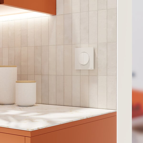 SCHNEIDER - Double va-et-vient ou poussoir, 10AX, blanc, Odace - large