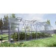 KLASIKA GREENHOUSES - Fenêtre de toit KLASIKA DROP pour serre avec ouvre-fenêtre automatique - vignette