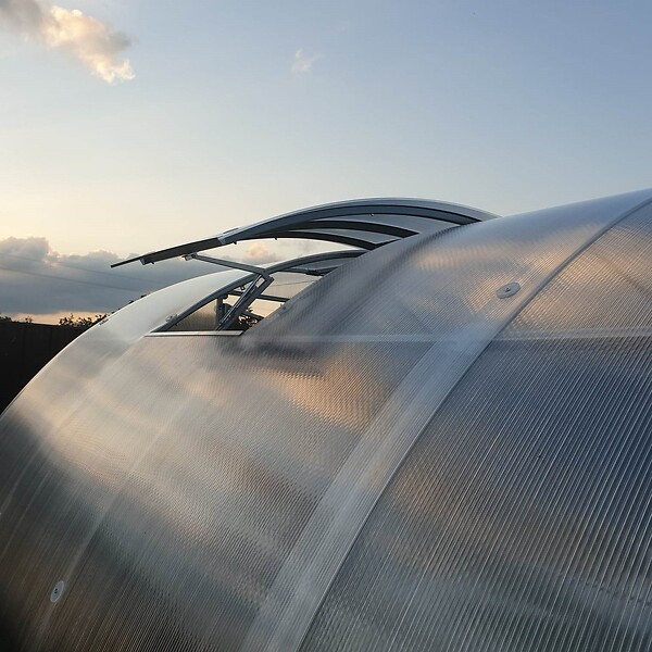 KLASIKA GREENHOUSES - Fenêtre de toit pour serre avec ouvre-fenêtre automatique KLASIKA TUBE - large