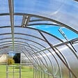 KLASIKA GREENHOUSES - Fenêtre de toit KLASIKA EASY pour serre avec ouvre-fenêtre automatique - vignette