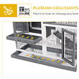 PAWHUT - Clapier à lapin sur roulettes cage à lapin 2 étages 2 portes verrouillables 2 plateaux coulissants rampe bois de sapin gris blanc - vignette