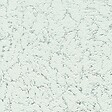 RASCH - Pep crepi argente 1 - vignette