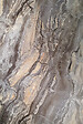 PROTOCOLE HOME - Panneau mural effet marbre Protocole Home 122 x 260 cm 3 mm - vignette