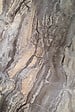 PROTOCOLE HOME - Panneau mural effet marbre Protocole Home 122 x 260 cm 3 mm - vignette