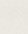RASCH - Papier expanse sur papier enduit projete - vignette