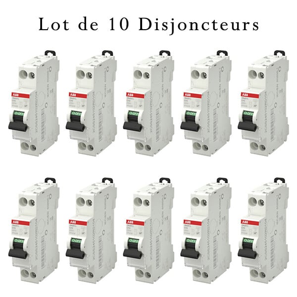 ABB - Lot de 10 disjoncteurs Ph+N raccordement Vis 10A-4,5Ka - Courbe  C-ABB - large