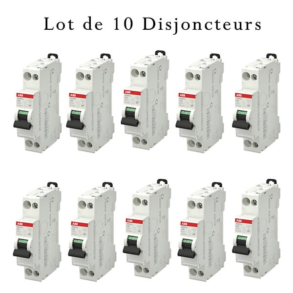 ABB - ABB Lot de 10 disjoncteurs Ph+N raccordement Vis 20A-4,5Ka - Courbe C - large
