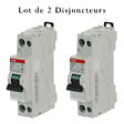 ABB - Lot de 2 disjoncteurs Ph+N raccordement Vis 2A-4,5Ka - Courbe C-ABB - vignette