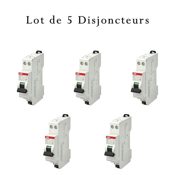 ABB - ABB Lot de 5 disjoncteurs automatiques Ph+N raccordement Rapide 10A-4,5Ka - large