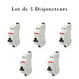 ABB - ABB Lot de 5 disjoncteurs automatiques Ph+N raccordement Rapide 10A-4,5Ka - vignette