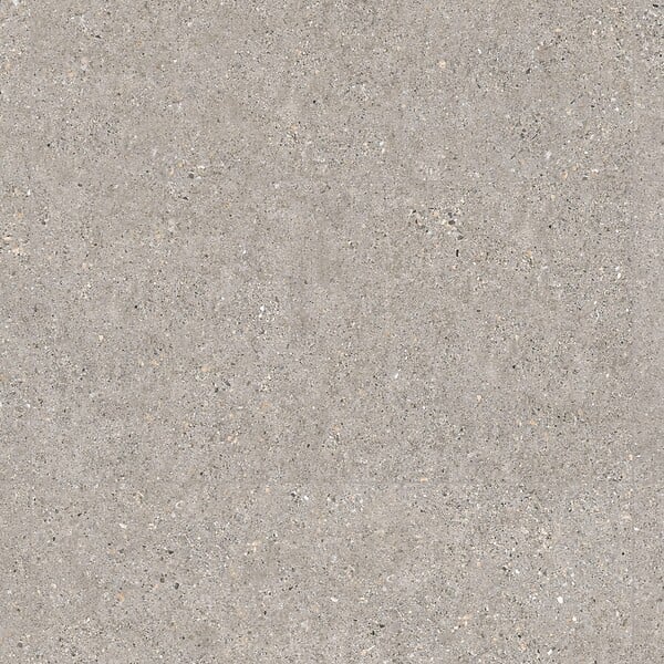 RO'MA NATURE - Carrelage effet Béton Gris Cendré 100x50x2 cm Arvelis - Sol extérieur (vendu par carton de 0,5 m²) - large