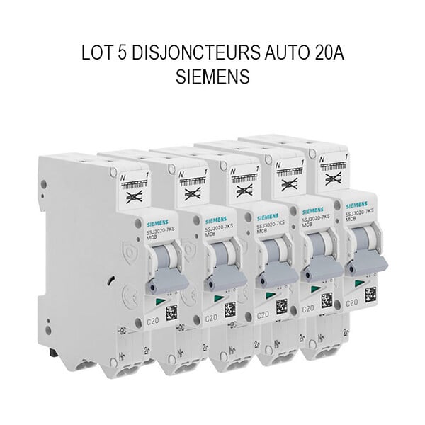 SIEMENS - SIEMENS Lot de 5 disjoncteurs Auto P+N 20A - large