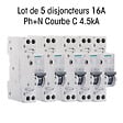 SIEMENS - SIEMENS Lot de 5 Disjoncteurs PH 16A SIEMENS (976) - vignette
