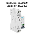 SIEMENS - Disjoncteur 20A Ph+N courbe C 4.5kA 230V-SIEMENS - vignette