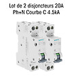 SIEMENS - Lot de 2 Disjoncteurs électriques phase + neutre 20A-SIEMENS - vignette