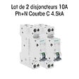 SIEMENS - Lot de 2 Disjoncteurs électriques phase + neutre 10A-SIEMENS - vignette