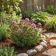 BLOOMIQUE - Lot de 6 - Origanum vulgare compactum - Origan - Marjolaine naine - Rustique - Vivace - P. 9 cm - vignette