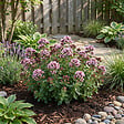 BLOOMIQUE - Lot de 6 - Origanum vulgare compactum - Origan - Marjolaine naine - Rustique - Vivace - P. 9 cm - vignette