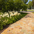 BLOOMIQUE - Lot de 3 - Astilbe Astary White - Fausse spirée - Plante de Jardin - H. 10-20 cm - P. 9 cm - vignette