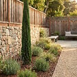 BLOOMIQUE - Cupressus Sempervirens - Cyprès italien - Plantes jardin - Rustiques - Persistant - P. 18 cm - vignette