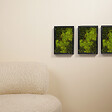 BLOOMIQUE - Tableau Mousse - Rectangulaire - Sans Entretien - Décoration Murale - En vraie mousse - vignette