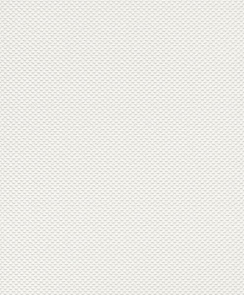 RASCH - Papier peint expanse canevas - Blanc - L.10.05xl.0.53m - large