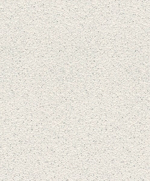RASCH - Papier expanse sur papier enduit projete - large